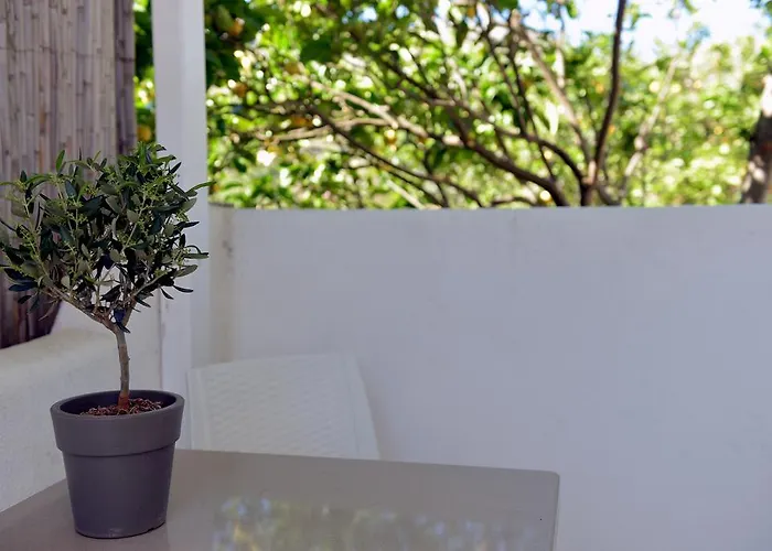 Flora's Mykonos Appartement *